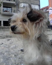 en la playa!! en la playa!!